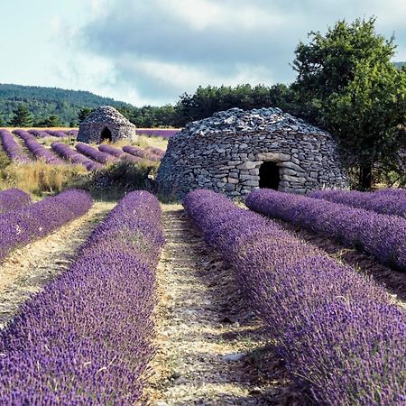 Le Cabanon Des Lavandes Entre Mont Ventoux Et Luberon Sault-de-Vaucluse Bagian luar foto